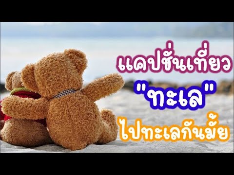 คําคม ทะเล เสี่ยวๆ: สะสมความหมายของท้องทะเลในชีวิตวันๆ -  Hatgiongnhapkhauf1.Com